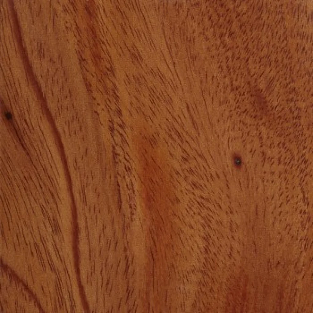 Fijian Mahogany